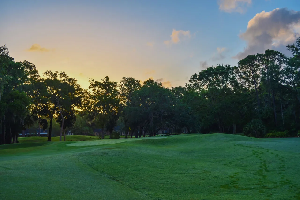 Golf course fairway lined with tall trees at sunrise